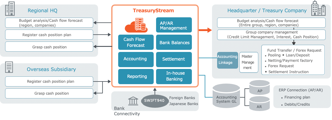TreasuryStream Service Overview